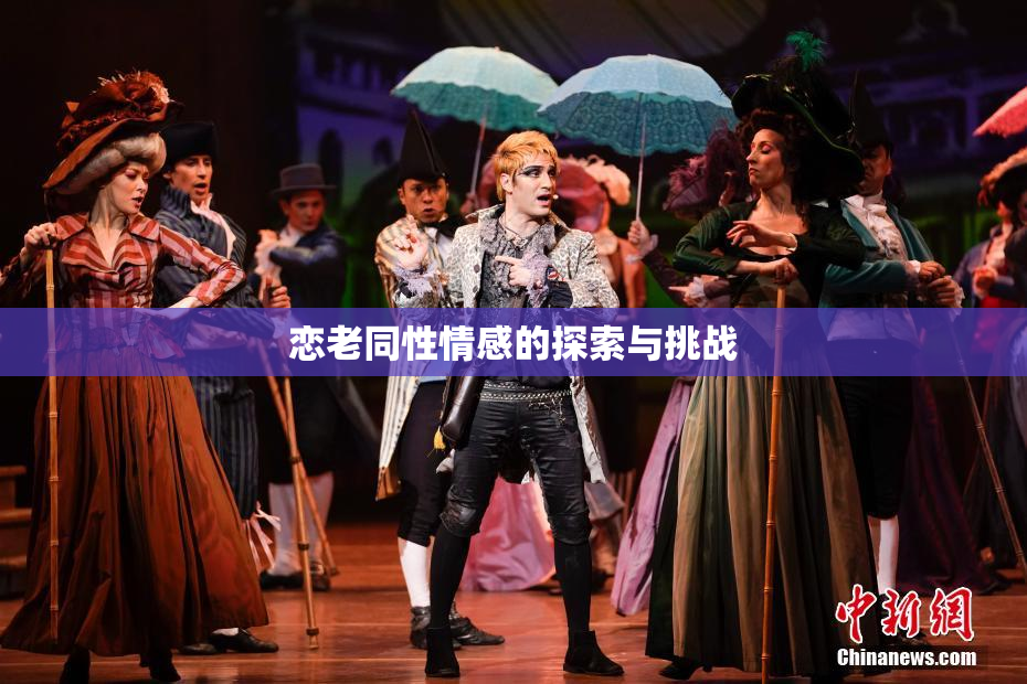 恋老同性情感的探索与挑战