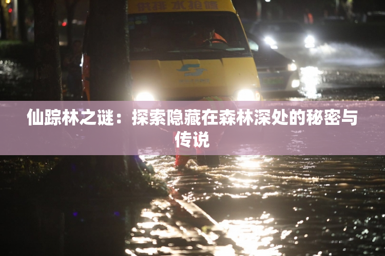 仙踪林之谜：探索隐藏在森林深处的秘密与传说