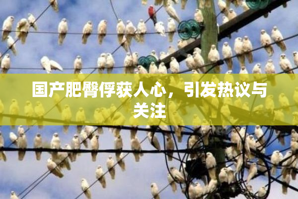 国产肥臀俘获人心，引发热议与关注