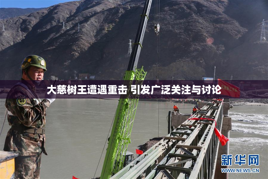 大慈树王遭遇重击 引发广泛关注与讨论