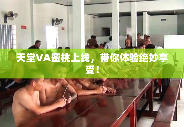 天堂VA蜜桃上线，带你体验绝妙享受！