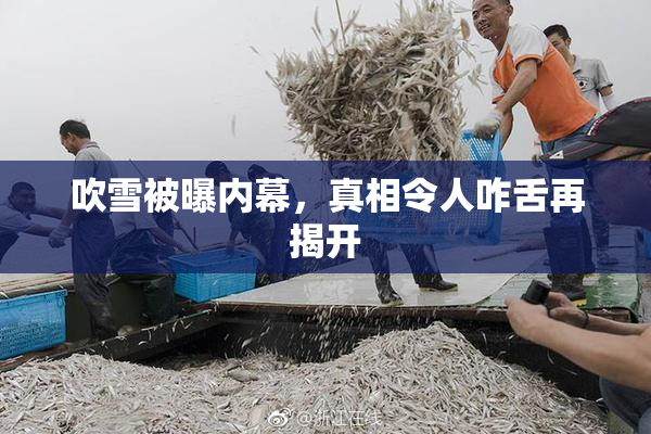 吹雪被曝内幕，真相令人咋舌再揭开