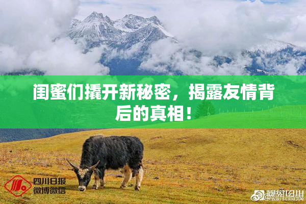闺蜜们撬开新秘密，揭露友情背后的真相！
