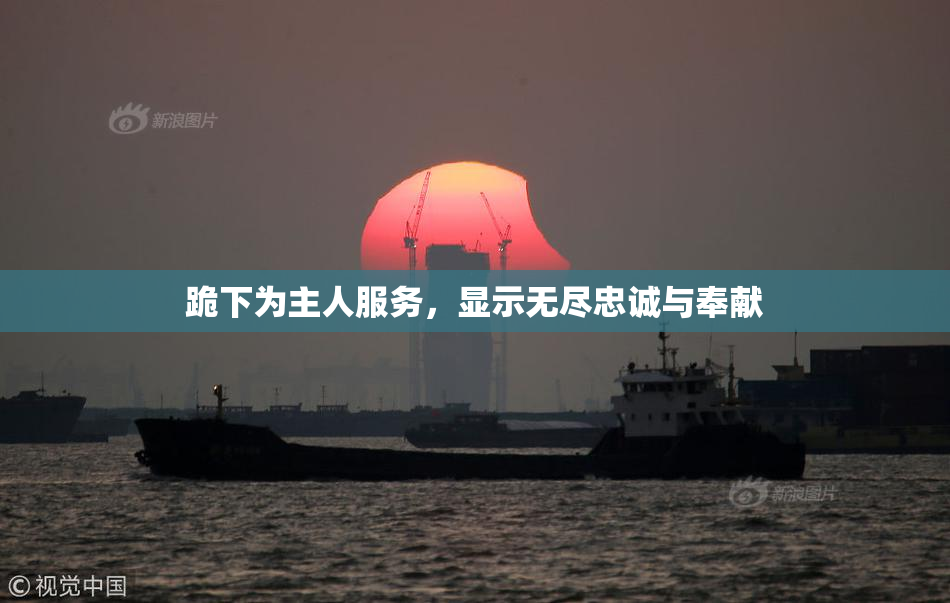 跪下为主人服务，显示无尽忠诚与奉献