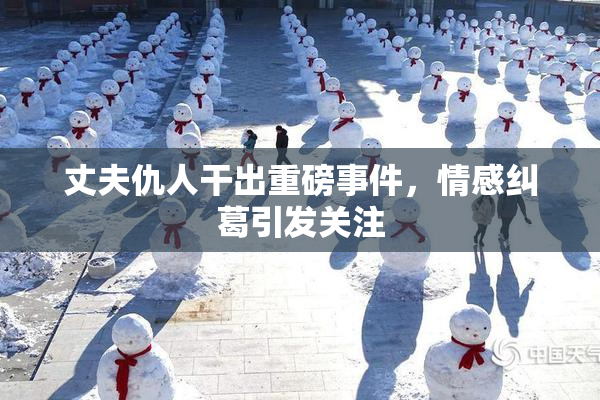丈夫仇人干出重磅事件，情感纠葛引发关注