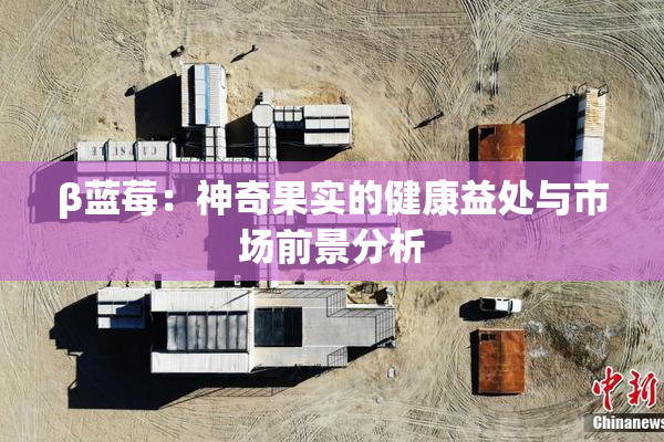 β蓝莓：神奇果实的健康益处与市场前景分析