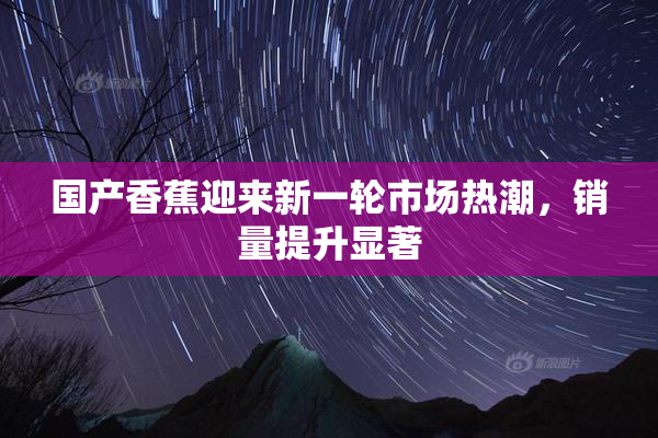 国产香蕉迎来新一轮市场热潮，销量提升显著