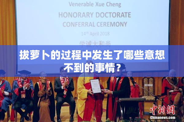 拔萝卜的过程中发生了哪些意想不到的事情？
