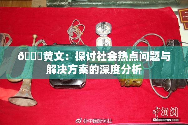 🔞黄文：探讨社会热点问题与解决方案的深度分析