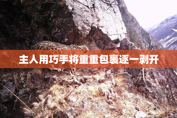 主人用巧手将重重包裹逐一剥开