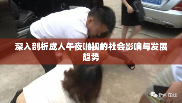 深入剖析成人午夜啪视的社会影响与发展趋势