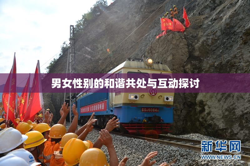 男女性别的和谐共处与互动探讨