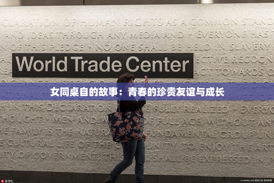 女同桌自的故事：青春的珍贵友谊与成长