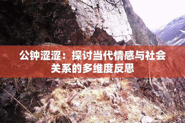 公钟涩涩：探讨当代情感与社会关系的多维度反思