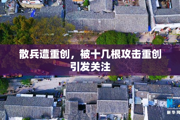 散兵遭重创，被十几根攻击重创引发关注