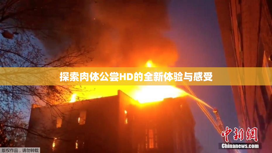 探索肉体公尝HD的全新体验与感受