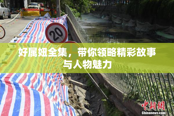 好属妞全集，带你领略精彩故事与人物魅力
