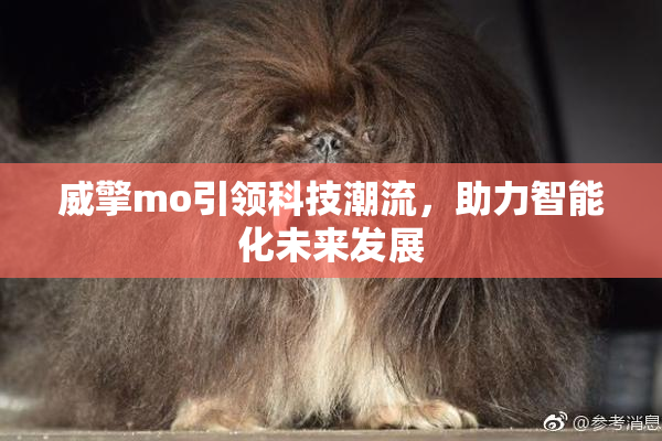 威擎mo引领科技潮流，助力智能化未来发展