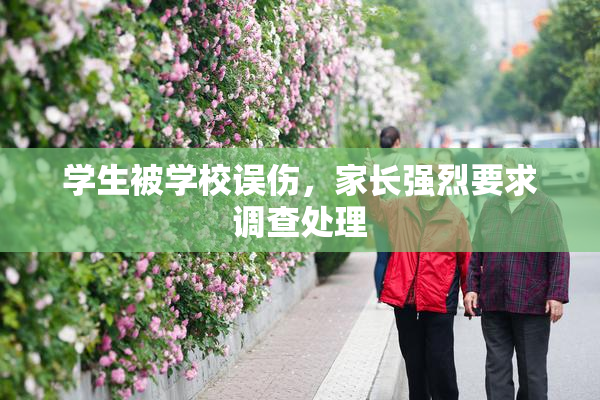 学生被学校误伤，家长强烈要求调查处理