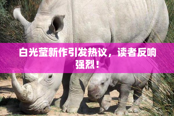 白光莹新作引发热议，读者反响强烈！