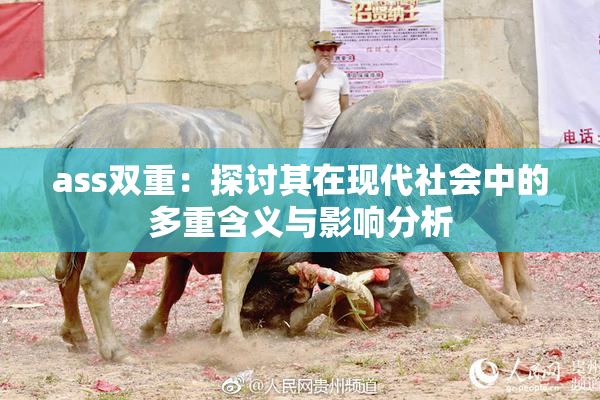 ass双重：探讨其在现代社会中的多重含义与影响分析