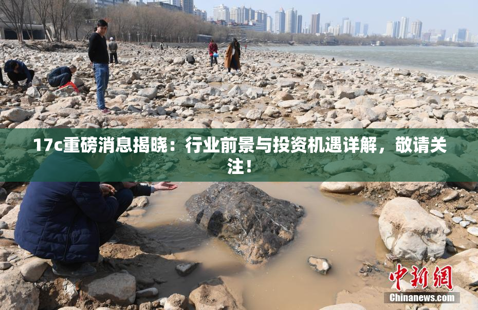 17c重磅消息揭晓：行业前景与投资机遇详解，敬请关注！