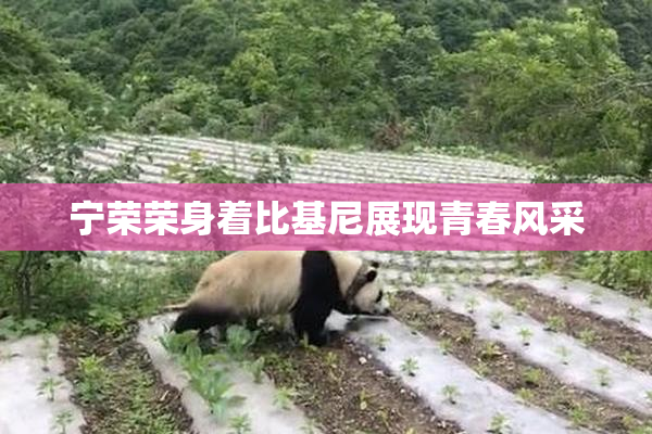 宁荣荣身着比基尼展现青春风采