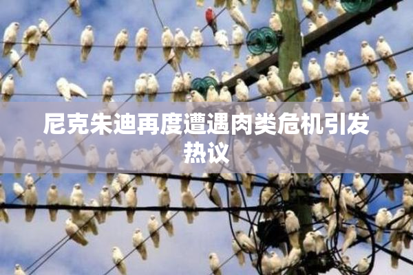 尼克朱迪再度遭遇肉类危机引发热议