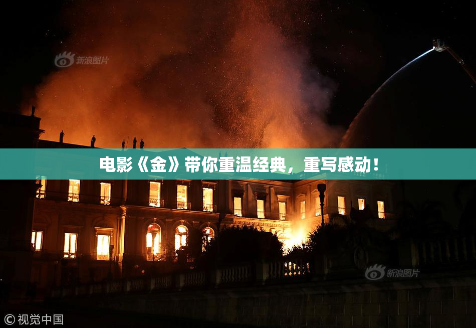 电影《金》带你重温经典，重写感动！