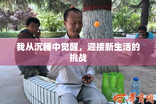 我从沉睡中觉醒，迎接新生活的挑战
