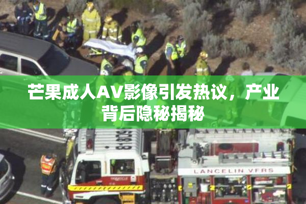 芒果成人AV影像引发热议，产业背后隐秘揭秘