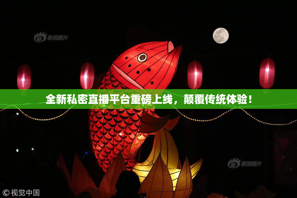 全新私密直播平台重磅上线，颠覆传统体验！