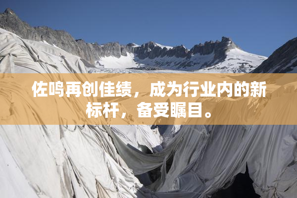 佐鸣再创佳绩，成为行业内的新标杆，备受瞩目。