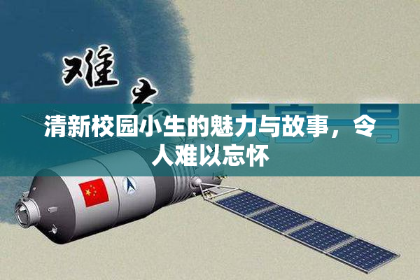清新校园小生的魅力与故事，令人难以忘怀