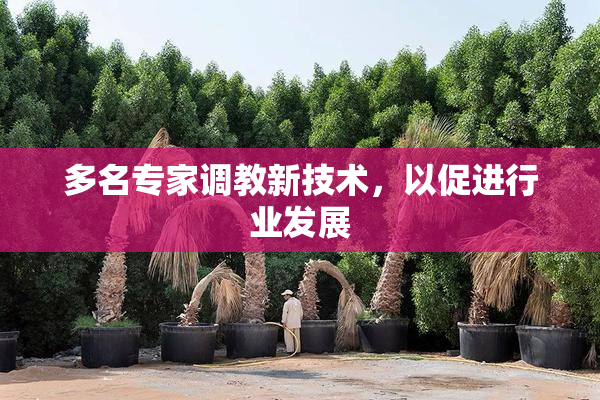 多名专家调教新技术，以促进行业发展