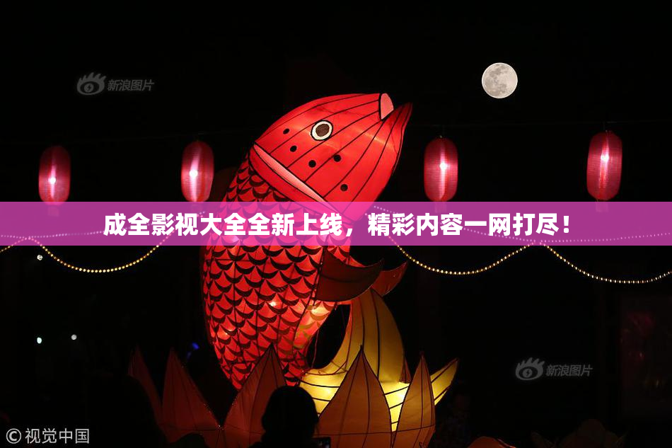 成全影视大全全新上线，精彩内容一网打尽！