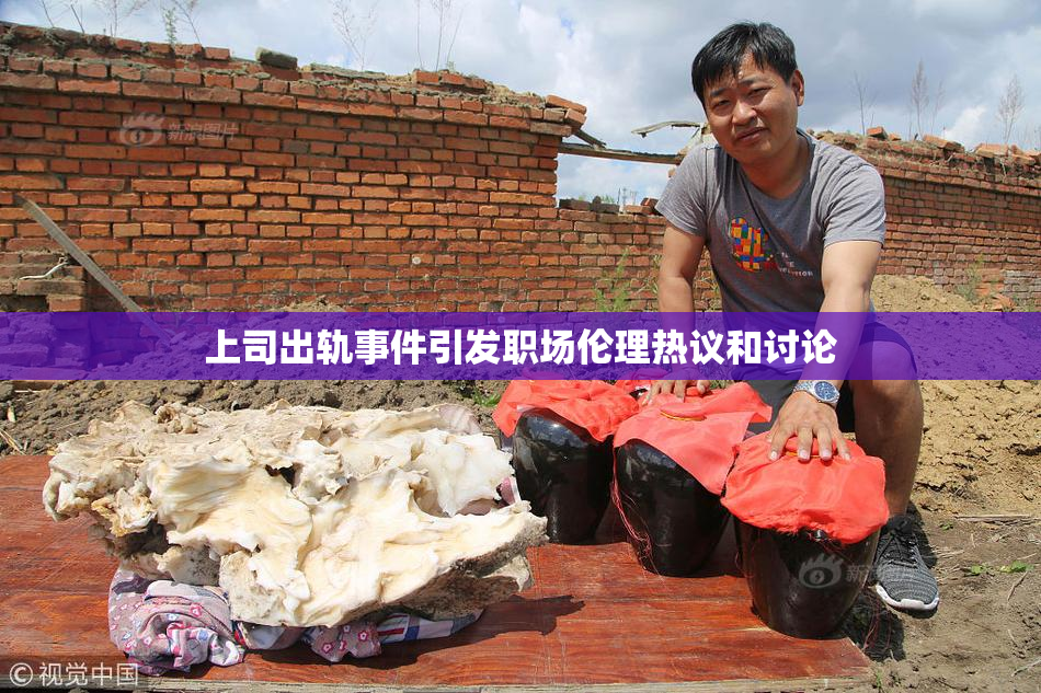 上司出轨事件引发职场伦理热议和讨论