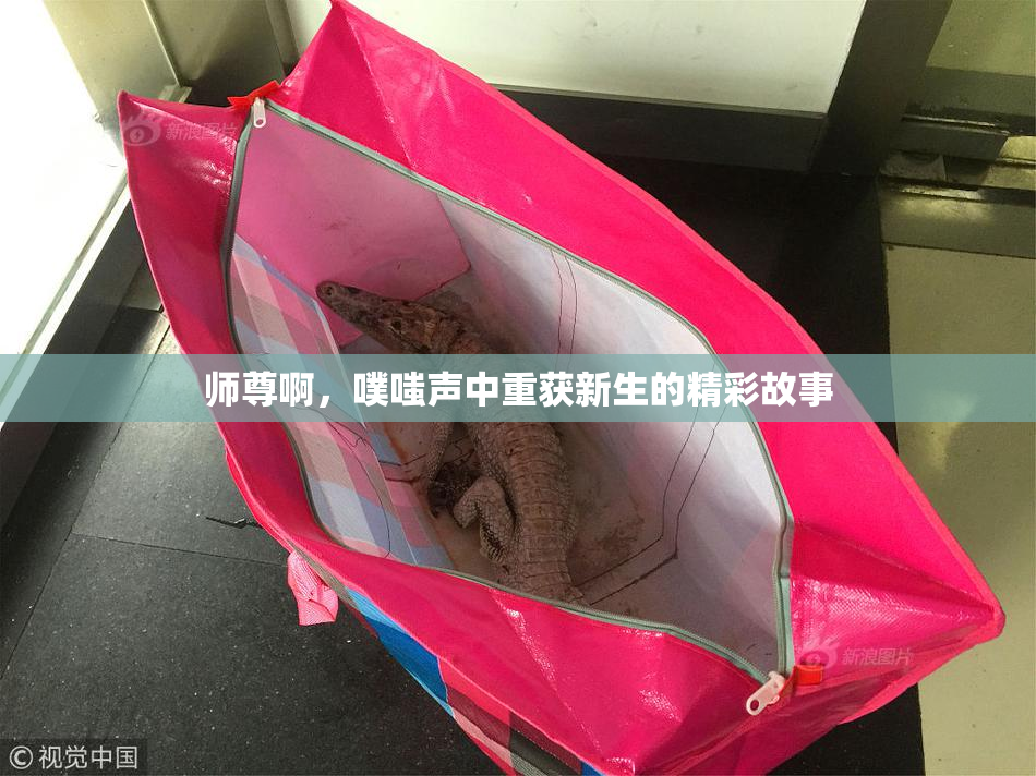 师尊啊，噗嗤声中重获新生的精彩故事