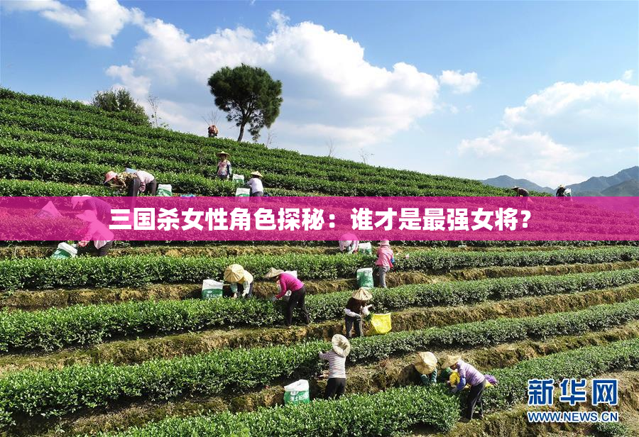三国杀女性角色探秘：谁才是最强女将？
