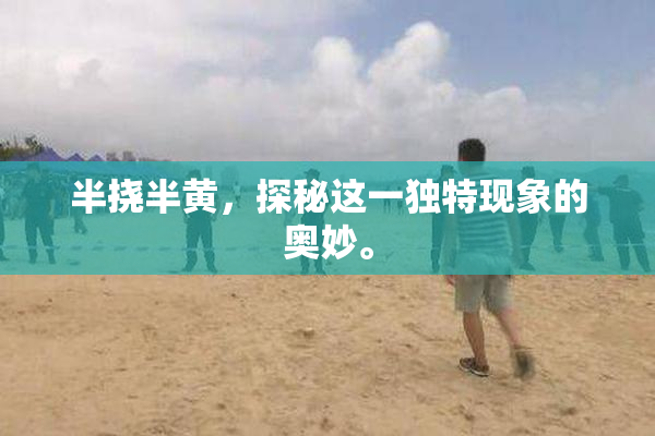 半挠半黄，探秘这一独特现象的奥妙。