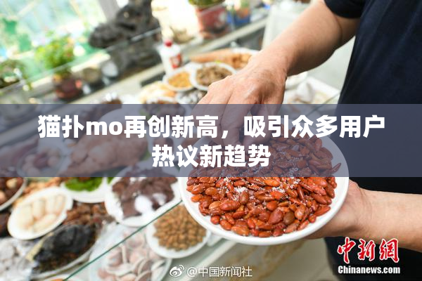 猫扑mo再创新高，吸引众多用户热议新趋势