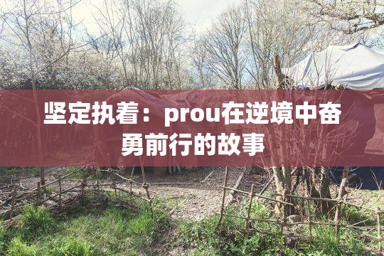 坚定执着：prou在逆境中奋勇前行的故事