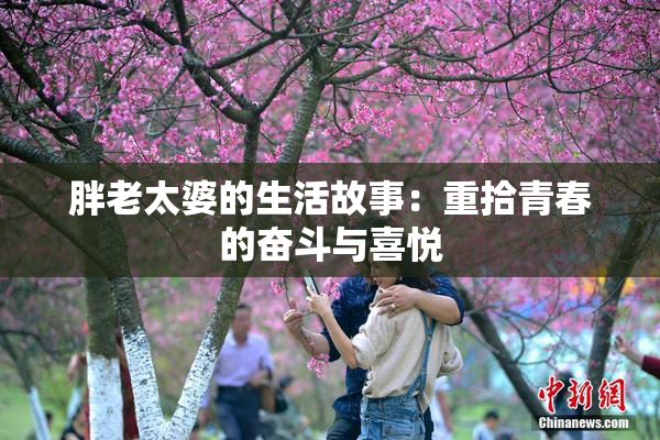 胖老太婆的生活故事：重拾青春的奋斗与喜悦
