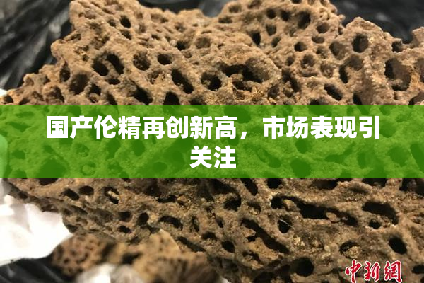 国产伦精再创新高，市场表现引关注