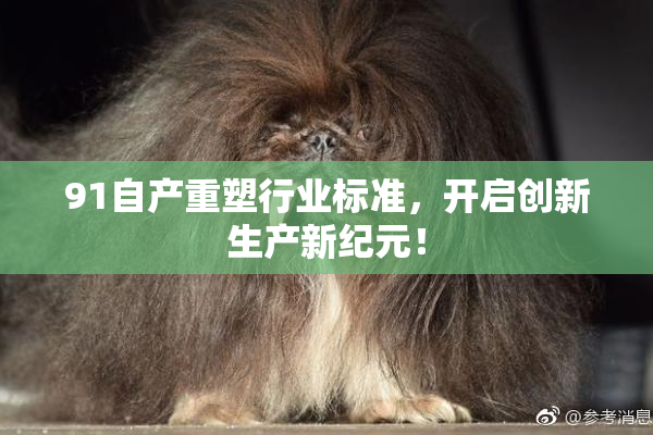 91自产重塑行业标准，开启创新生产新纪元！