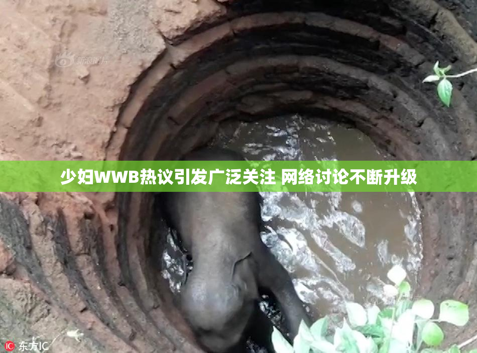 少妇WWB热议引发广泛关注 网络讨论不断升级