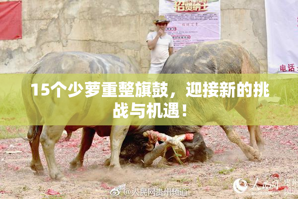 15个少萝重整旗鼓，迎接新的挑战与机遇！