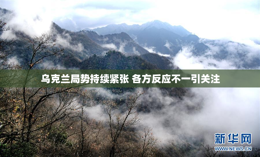 乌克兰局势持续紧张 各方反应不一引关注