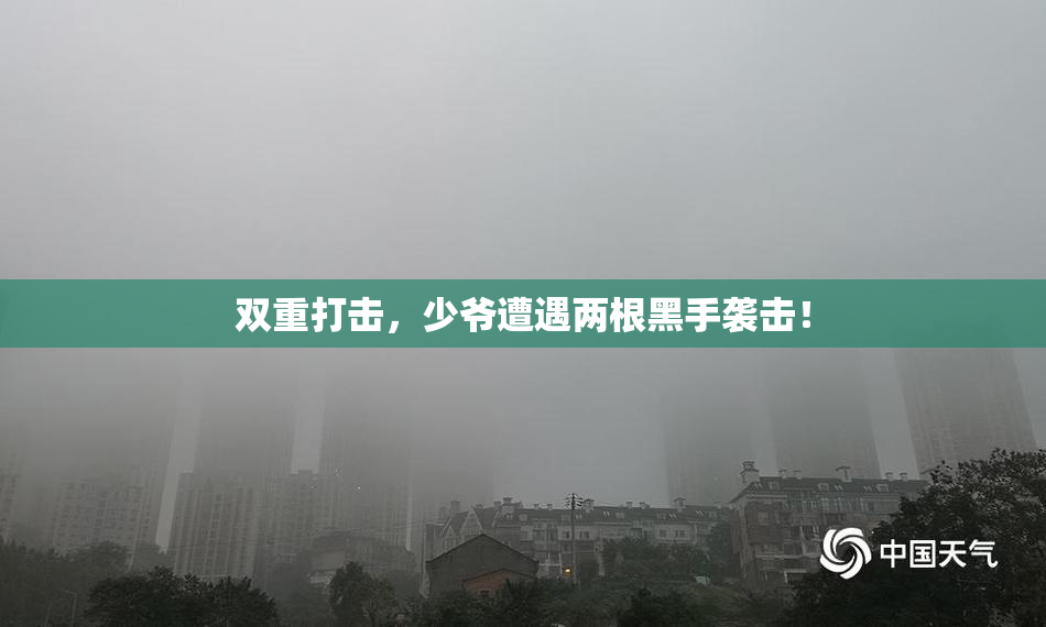 双重打击，少爷遭遇两根黑手袭击！
