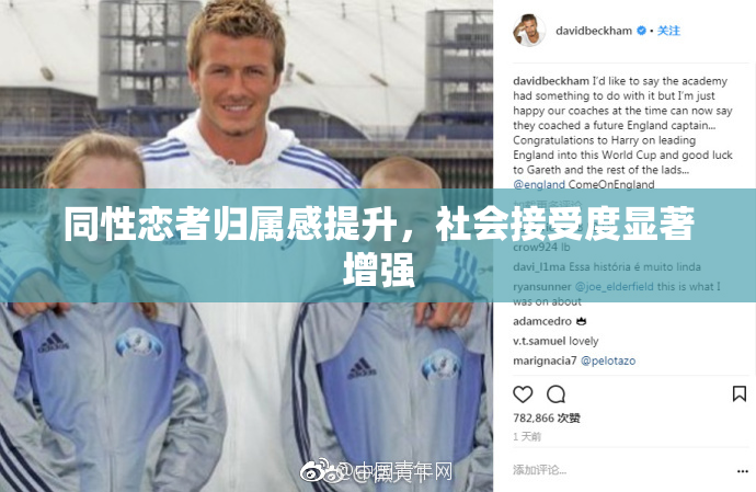 同性恋者归属感提升，社会接受度显著增强
